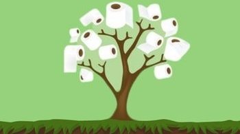 tissues made from tree